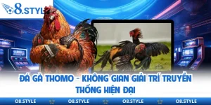 Đá Gà Thomo - Không Gian Giải Trí Truyền Thống Hiện Đại